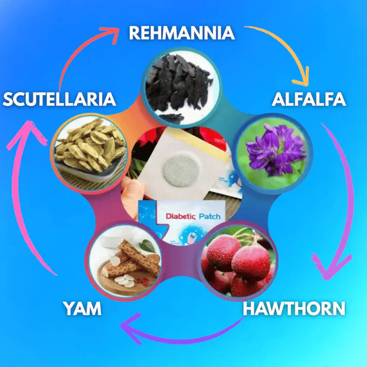 Sumifun Premium Diabetic Patches (PACK OF 6) BUY 1 GET 1 FREE